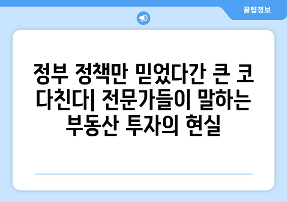 정부 부동산 정책 맹신의 위험: 전문가들의 조언