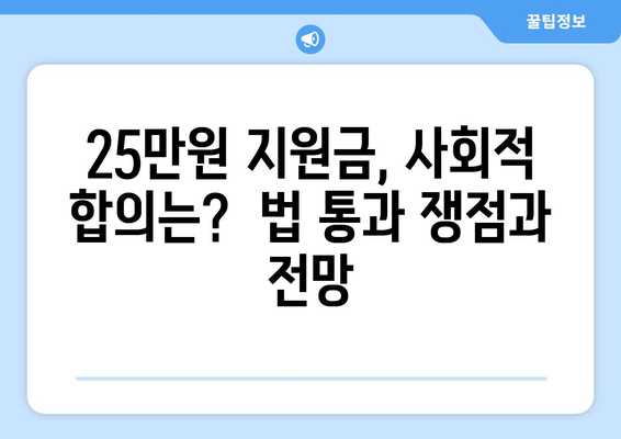 25만 원 지원금 특별법: 실행 가능성과 논쟁