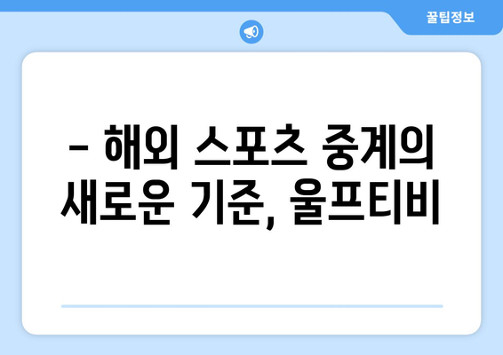 유로2024 중계, 해외 스포츠 중계, 울프티비