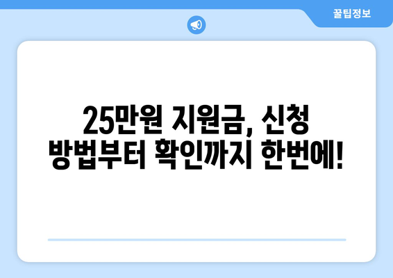 민생지원금 25만원: 신청 방법과 대상