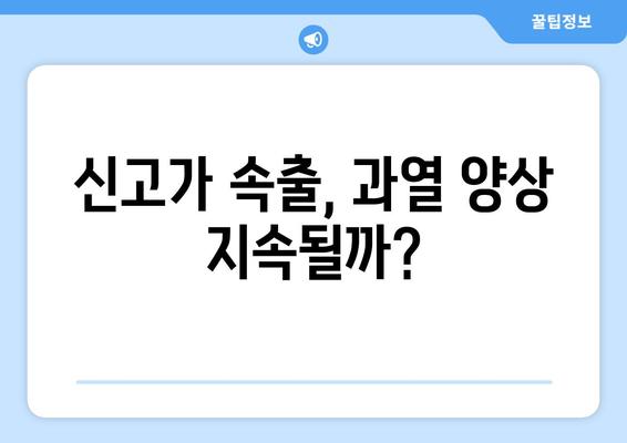 특단의 조치 이후 부동산 시장 반응: 신고가 속출의 의미