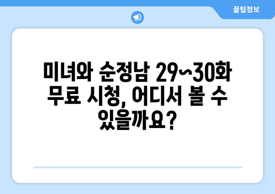 미녀와 순정남 29~30화 무료 시청 및 재방송