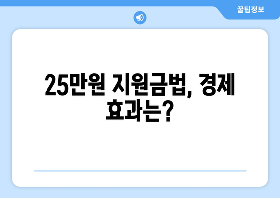 이재명의 25만 원 지원금법, 국회 통과