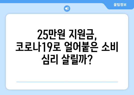 코로나19로 인해 경제에 도움이 되는 25만원 민생지원금