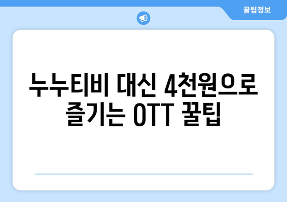 OTT를 4천원에 구독하는 비법: 누누티비 대신하는 방법