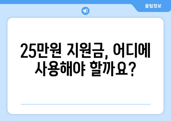 1인당 25만원 지급, 민생 복지 지원금