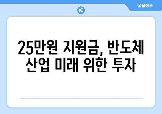 반도체, 지원금, 25만원 지급: 최상목 총리의 금융 지원책