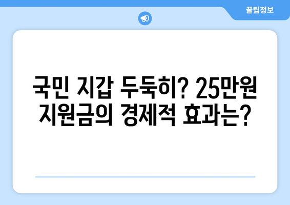 이재명의 국민당 25만원 지원금안