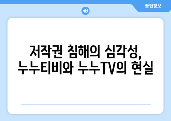 누누티비와 누누TV의 현황 및 불법성