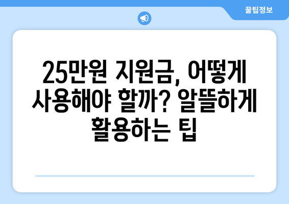 1인당 25만원 민생회복지원금 파헤치기