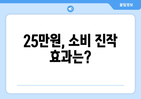 25만 원 민생복지 지원금: 화폐가치와 부동산 가치에 미치는 영향