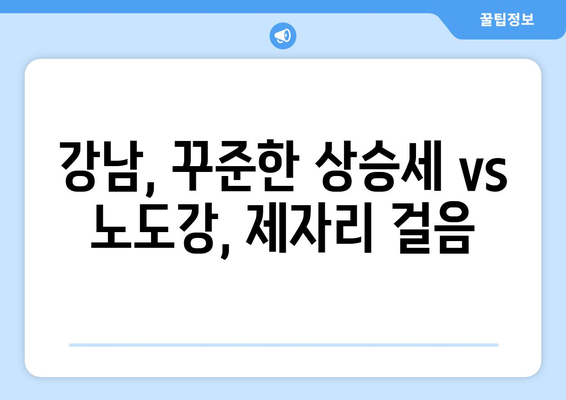 서울 강남 vs 노도강: 아파트 가격 상승 격차 분석