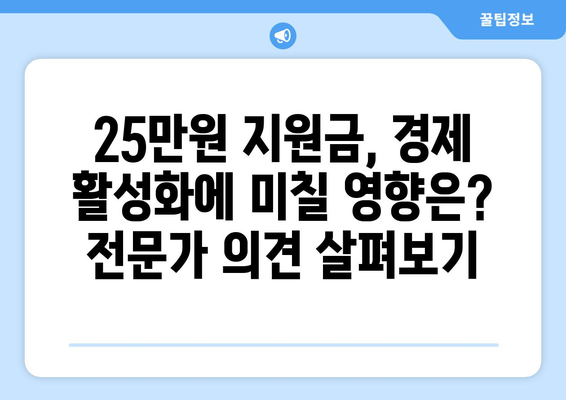 민생 회복 지원금의 실체: 1인당 25만 원 지원금