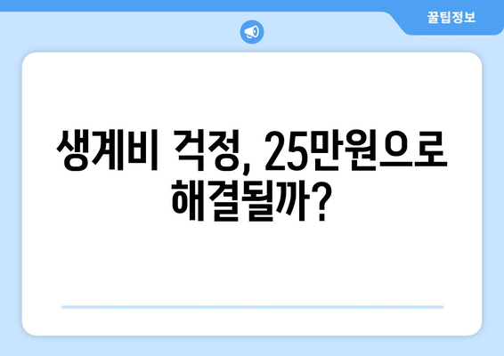 민생 지원금 25만원 지급 후 추가 지원 필요한 경우