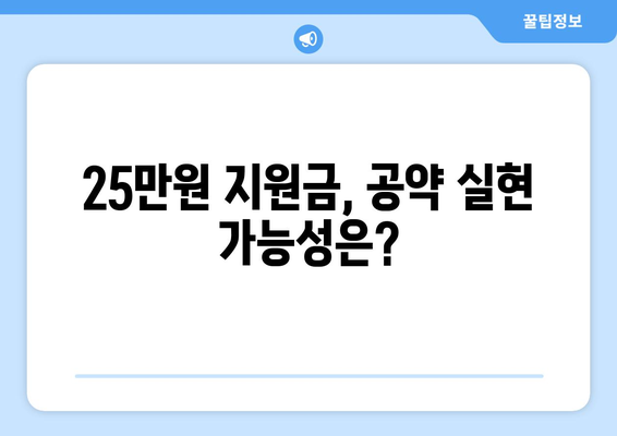 민생회복지원금 25만원: 논란의 여지 있는 공약