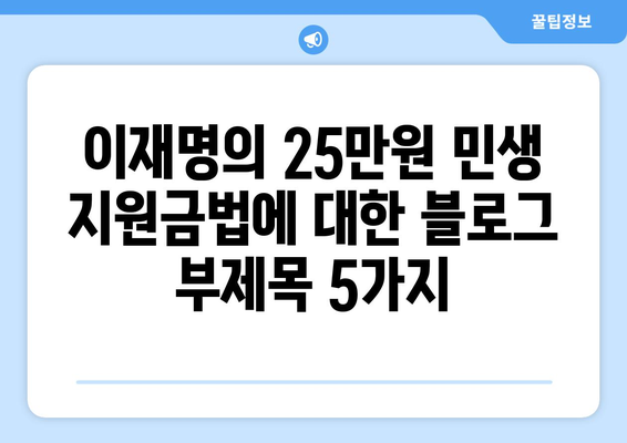 이재명의 25만원 민생 지원금법