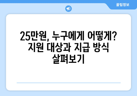 이재명의 25만원 민생 지원금법