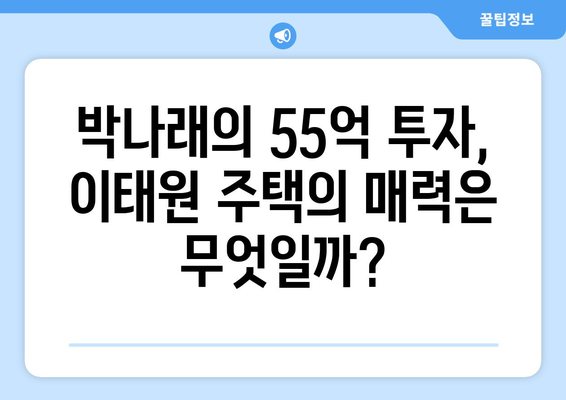 연예인 부동산 투자의 성공 요인: 박나래의 55억 이태원 주택 사례 종합 해설