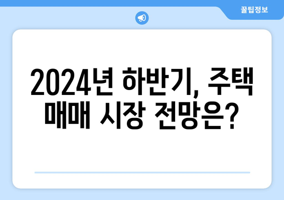 2024년 8월 부동산 시장 동향: 전문가들의 예측은?