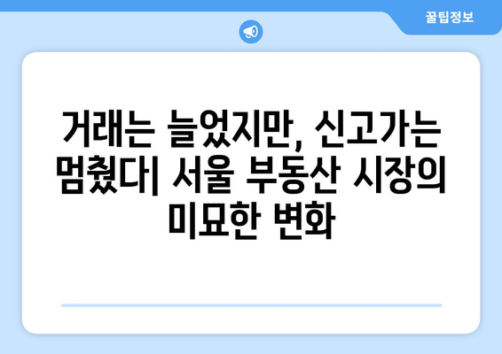 서울 부동산 시장의 이중성: 거래량 증가와 신고가 부재