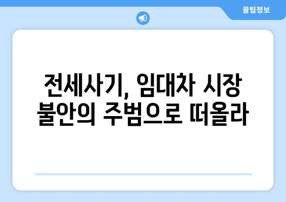 전세사기 피해자 증가 추세: 2만명 육박과 대책 마련 | 임대차 시장 문제