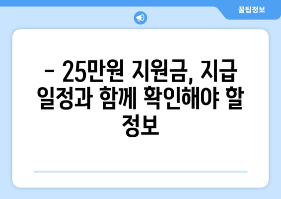 25만원 지원금 민생 지원금 지급 예정 시기