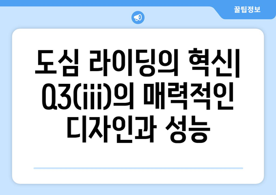 노블티비: 퀄리 Q3(iii) 스포츠프로필 전기자전거 리뷰