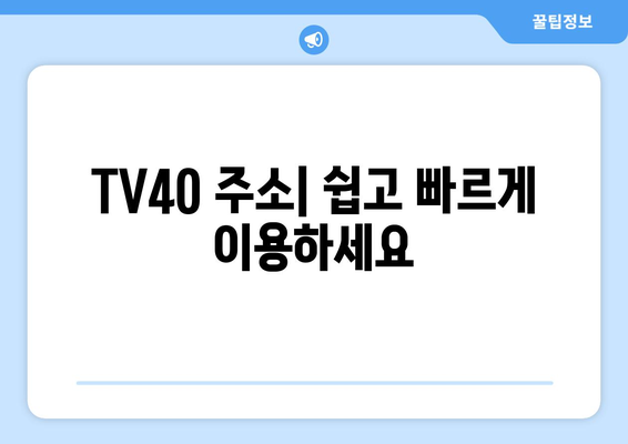 티비위키 주소tv40: 2024년 최신 바로가기