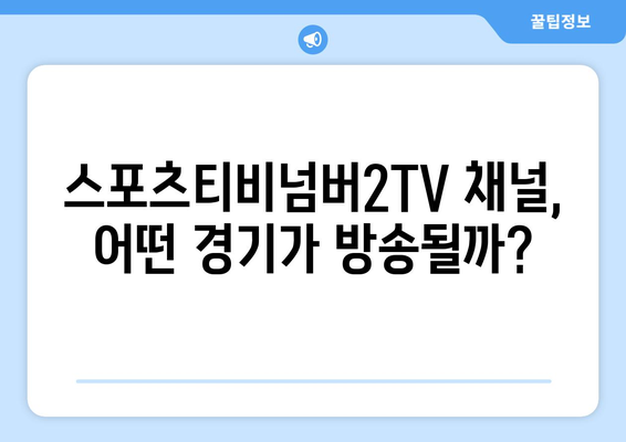 스포츠티비넘버2TV: 스포츠 경기 정보 알아보기