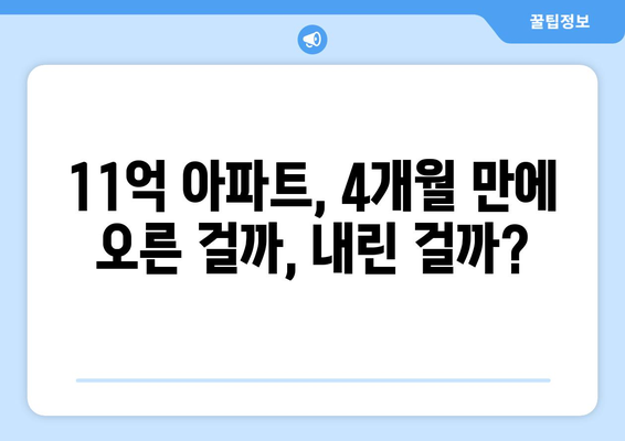 분당 아파트 가격 변동: 11억 아파트 4개월 만의 변화 | 수도권 부동산 시장