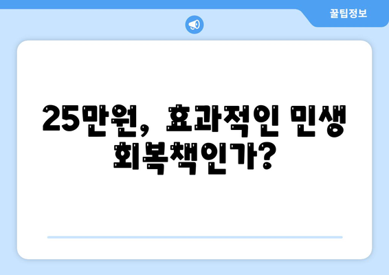 25만 원 민생회복지원금 논쟁: 핵심 문제는 무엇인가?