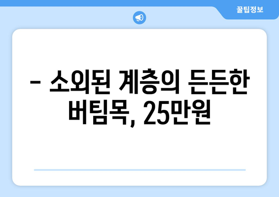 25만 원 국민생계보호비, 경제적 안정과 성장에 기여할 것