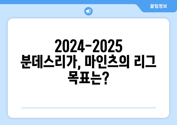 분데스리가 2024-2025: 마인츠의 꾸준한 성적과 리그 목표