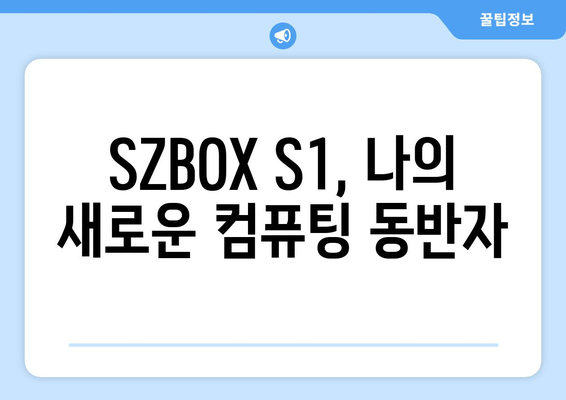 SZBOX S1 구입기와 알리직구 N100 리뷰