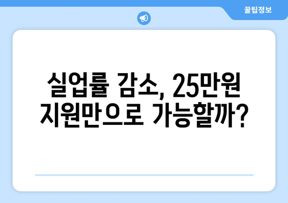 고용 불안 개선을 위한 25만원: 실업률 감소의 처방전인가 속수무책의 변명인가?