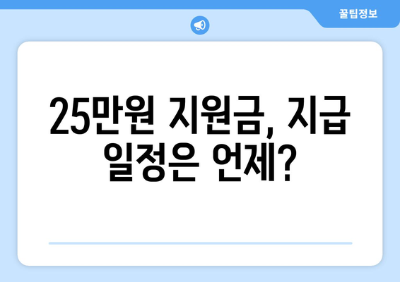 전국민에게 지급되는 25만원 민생지원금: 자세한 내용