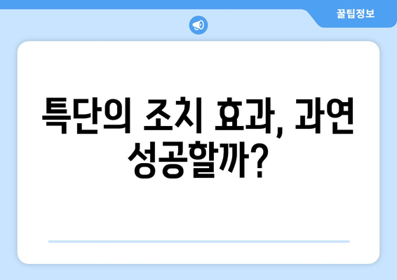 부동산 시장의 역설: 