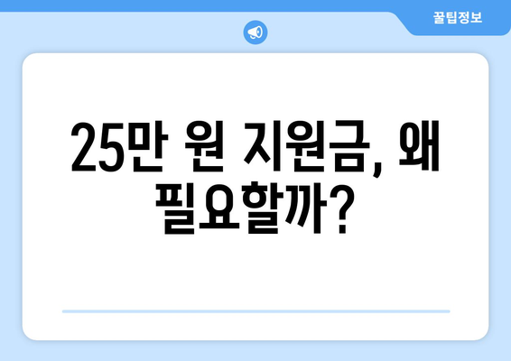 민생회복을 위한 25만 원 지원금 발의