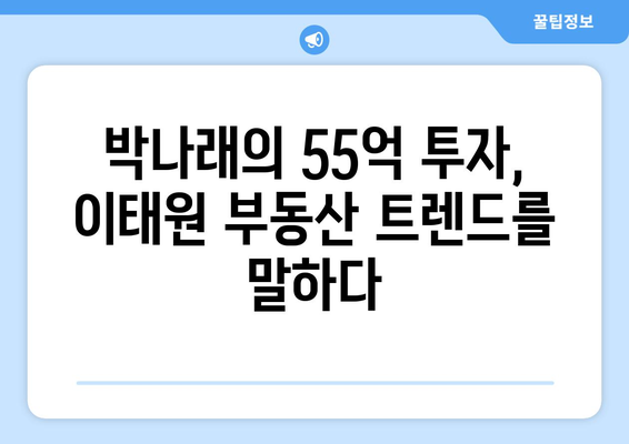 이태원 부동산 투자의 새로운 트렌드: 박나래의 55억 주택 투자 사례 연구와 교훈 총정리