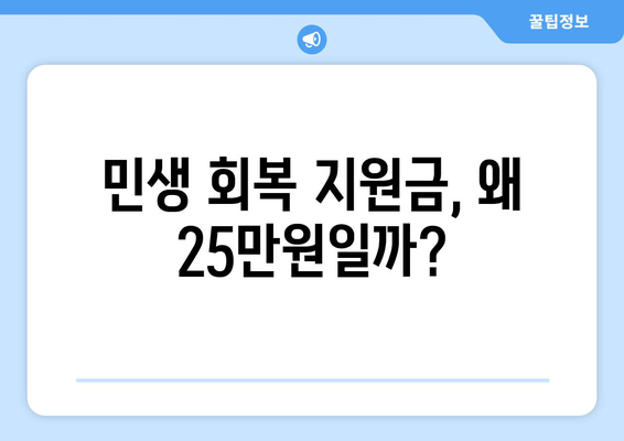 민생 회복 지원금: 뭐길래 25만원인가?