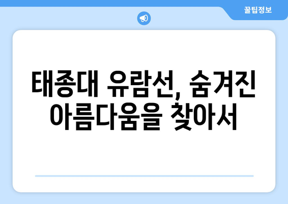 스포츠한국 기자의 태종대 유람선 취재