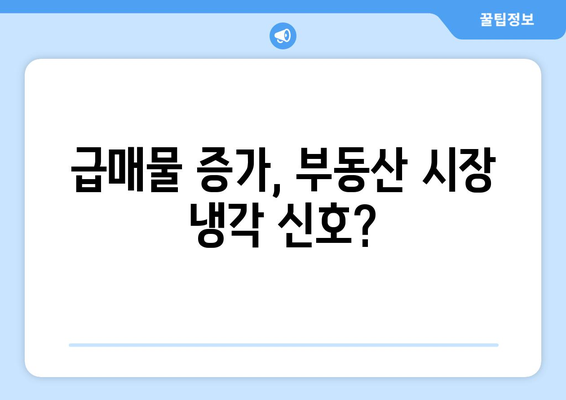 부동산 시장 경고음: 전문가들이 말하는 주의점