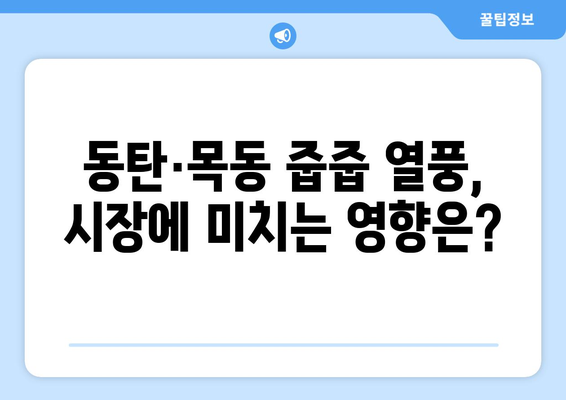 동탄·목동 줍줍 열풍: 부동산 투자 새 패러다임 분석