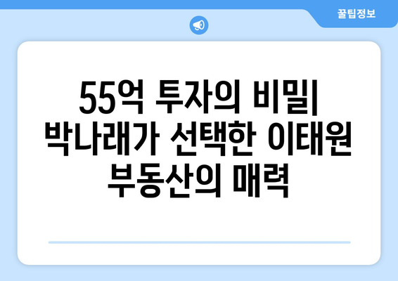 이태원 부동산 시장의 새로운 가능성: 박나래의 55억 투자 사례 심층 분석