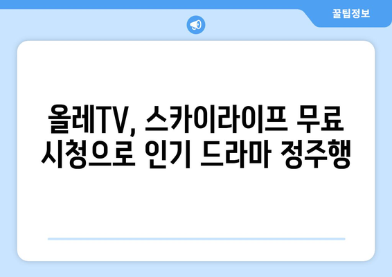 인기 드라마 다시한번! 올레TV, 스카이라이프 무료 시청법