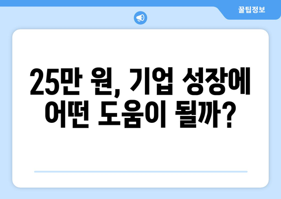 25만 원 지원금으로 기업 지원