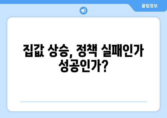 정부 부동산 정책의 효과: 예상 밖의 집값 상승 현상 해석