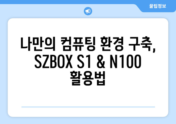 SZBOX S1 구입기와 알리직구 N100 리뷰