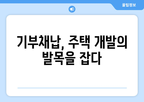 주택 인허가 절차 개선: 과도한 기부채납 요구 해소 방안