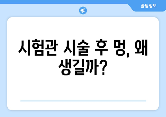 시험관 시술의 숨겨진 고통: 체중 증가와 멍